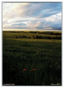 Southwind Trail Tallgrass Prairie Nat'l Preserve Continental View Postcard