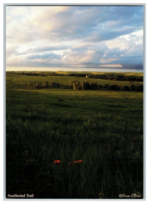 Postcard Southwind Trail Tallgrass Prairie Nat'l Preserve Continental View Card 