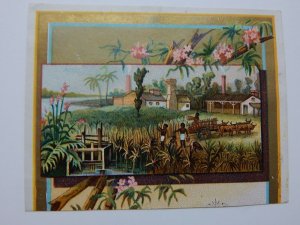 Vintage Harvest Scene Piano Victorian Trade Card