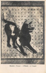 Lot 43 a mosaic a pompeii italy postcard dog