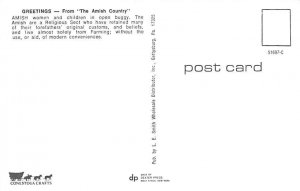 Amish Women & Children Intercourse, Pennsylvania, USA Postcard