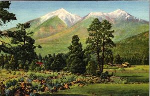 Postcard MOUNTAIN SCENE Flagstaff Arizona AZ AO4262