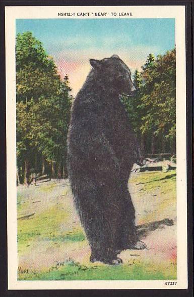 I Can't Bear to Leave Post Card 5214