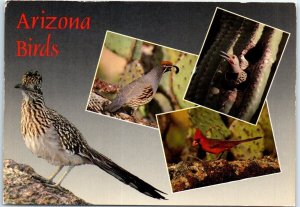 Postcard - Arizona Birds - Greetings From Arizona