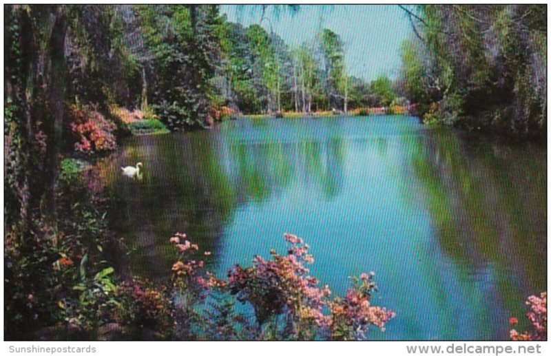 Alabama Mobile Bellingrath Gardens Beautiful Mirror Lake