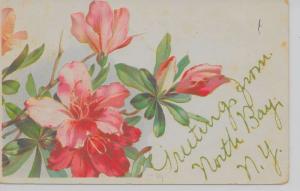 North Bay New York Greetings From pink/red flowers glitter antique pc Z16557