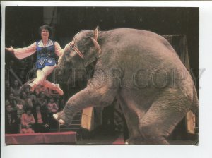 459482 USSR 1986 year circus arena trainer Tatyana Filatova with an elephant