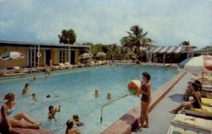 Key Wester - Florida FL Postcard