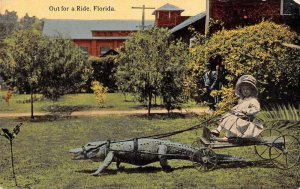 Florida Girl in Alligator Cart Vintage Postcard JJ658961