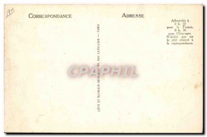 Old Postcard Young pigs Pyrenees Pigs Pigs