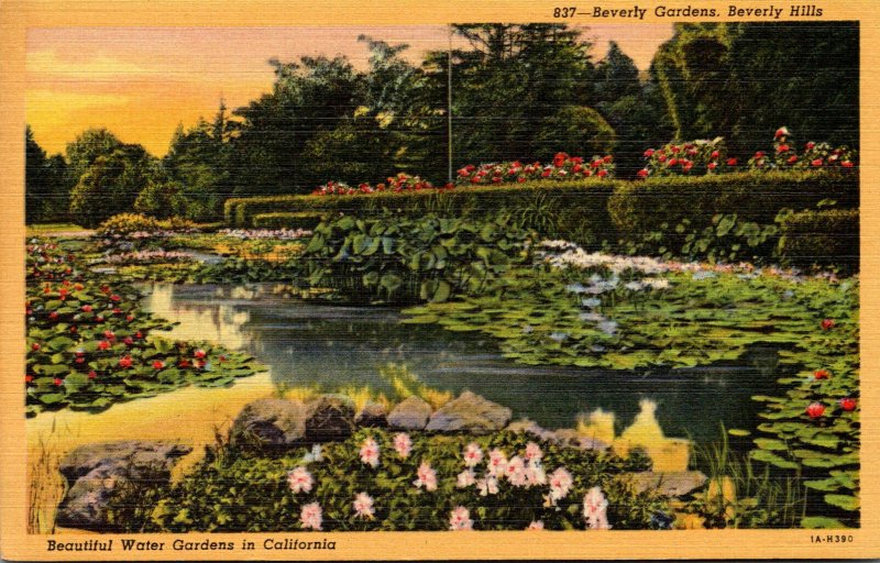 California Beverly Hills Beverly Gardens Beautiful Water Gardens Curteich