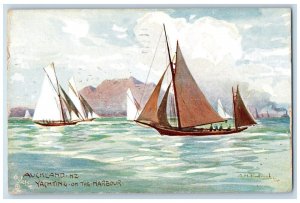 1911 Auckland New Zealand Yachting on the Harbour Oilette Tuck Art Postcard