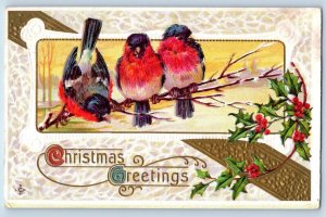 Christmas Postcard Greetings Birds Holly Berries Embossed Salem South Dakota SD
