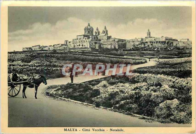 Postcard Modern Malta Citta Vecchia Notabile Donkey Donkey