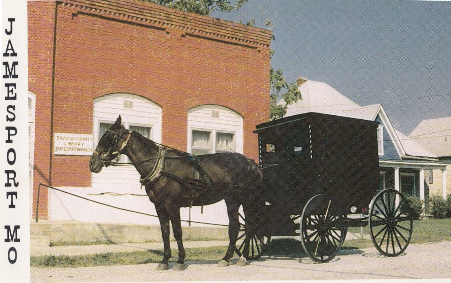 Jamesport Mo American Amish Transport Horse & Cart Postcard United