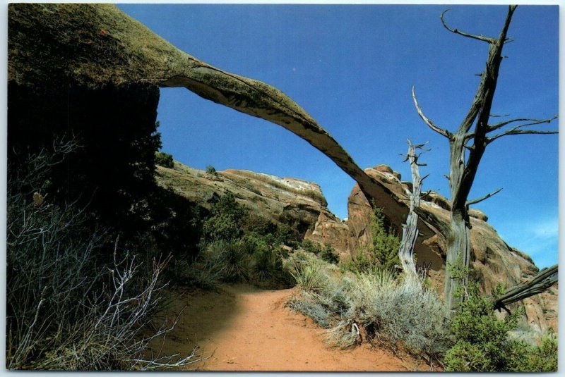 M-20041 Landscape Arch Arches National Park Utah