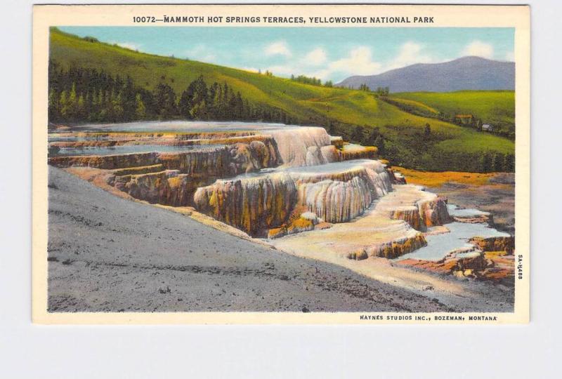 VINTAGE POSTCARD NATIONAL STATE PARK YELLOWSTONE MAMMOTH HOT SPRINGS TERRACES #1