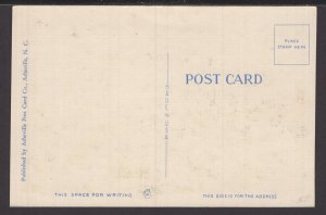 Apple Blossom Time in Virginia ~ Linen