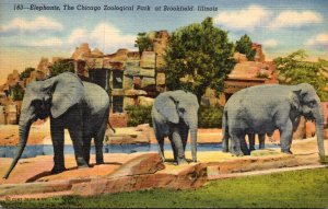 Illinois Chicago Zoological Park At Brookfield Elephants 1942 Curteich