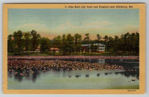 Salisbury Maryland Pine Bluff Lily Pond and Hospital Postcard E23