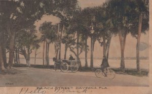 BEACH STREET DAYTONA FLORIDA PONCE PARK DPO POSTCARD 1906