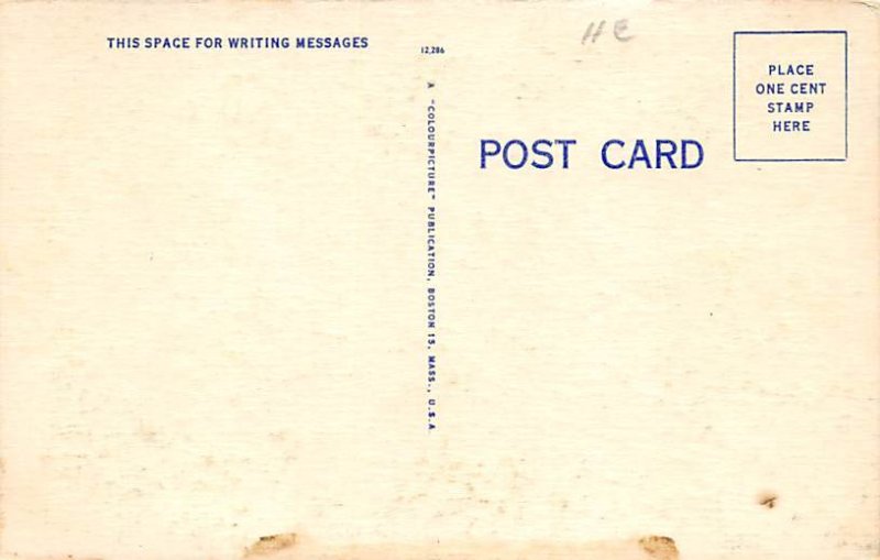 Rhododendron   Pocono Mountains, Pennsylvania PA