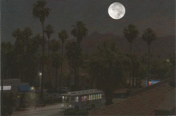 Single (One) Postcard of Nightlife in Palm Springs Night Scene Fine Art Photo