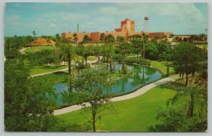 Tampa Florida~Anheuser Busch's Busch Gardens~Standard Chrome Postcard