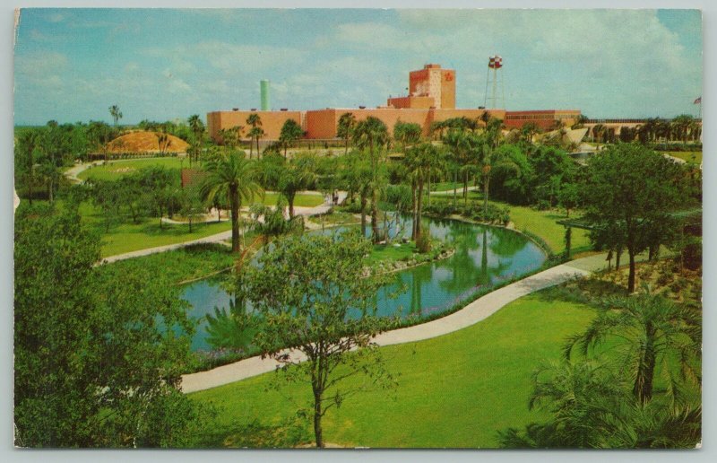 Tampa Florida~Anheuser Busch's Busch Gardens~Standard Chrome Postcard