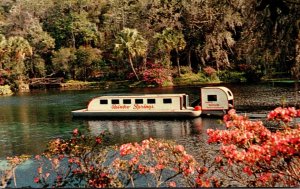 Florida Rainbow Springs Underwater Boat