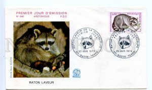 418456 FRANCE 1973 year Raton Laveur Raccoon First Day COVER