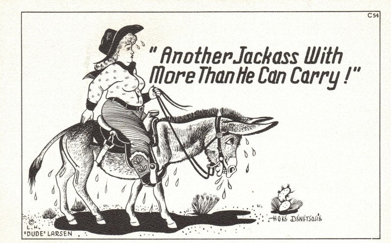 Vintage Postcard Fat Woman Donkey Ride Another Jackass He Can Carry Desert Comic
