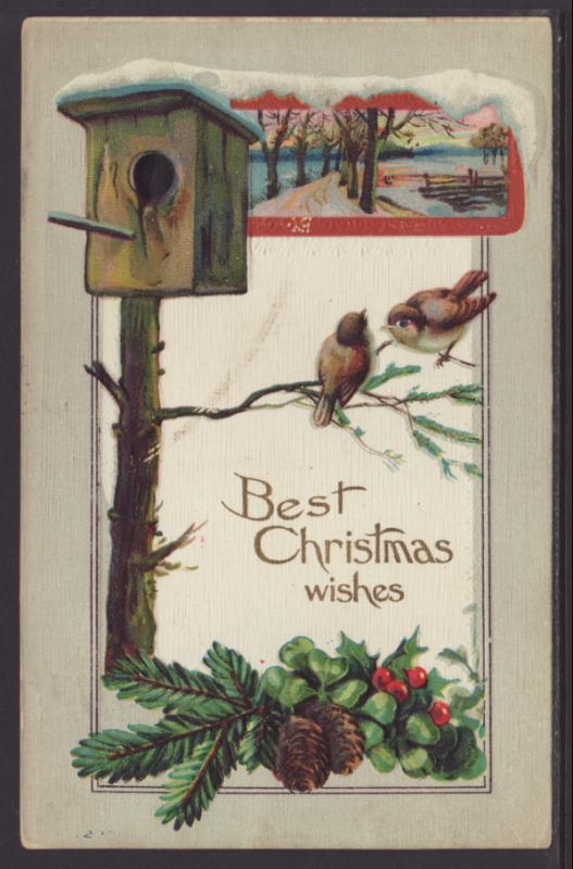 Best Christmas Wishes,Birds Postcard