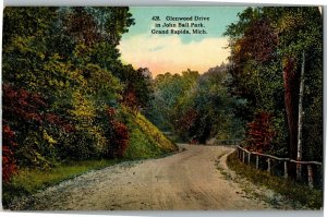 Glenwood Drive in John Ball Park, Grand Rapids MI Vintage Postcard A45