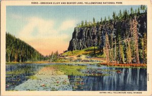 Obsidian Cliff Beaver Lake Yellowstone National Park Mammoth Norris Postcard UNP 