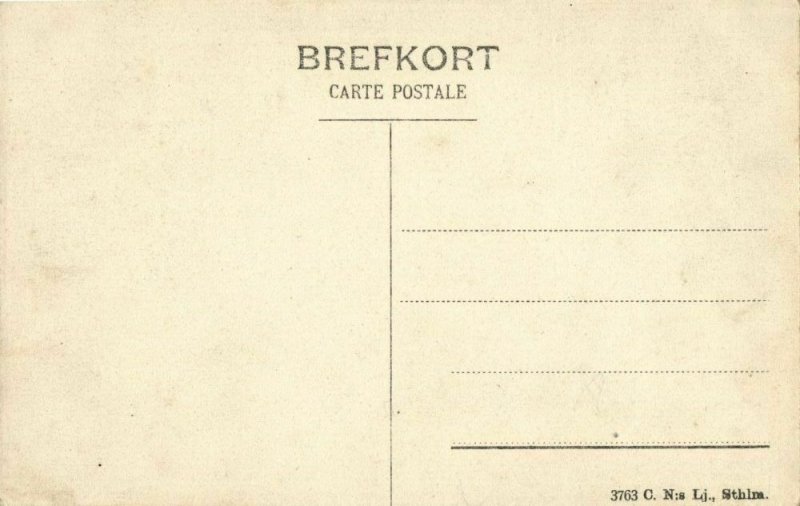 sweden, Hertigparet ombord på Drott (1905) Postcard