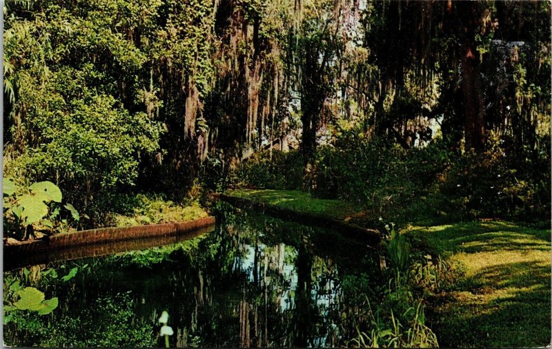 Spanish Moss Drapes Venetian Canals Florida FL Postcard VTG UNP Dukane Vintage 