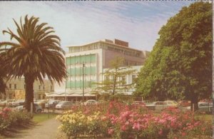 Palmerston North Library New Zealand Postcard