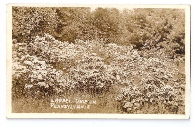 RPPC Laurel Time in Pennsylvania