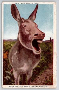 Donkey Rocky Mountain Canary Laugh And The World Laugh With You Postcard R30