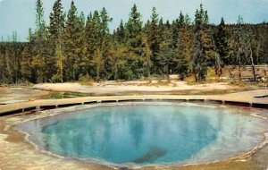 Morning Glory Pool Yellowstone National Park, Wyoming, USA