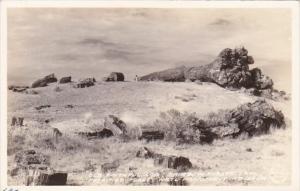 Arizona Petrified Forest Old Faithful Log Rainbow Forest Trail Real Photo