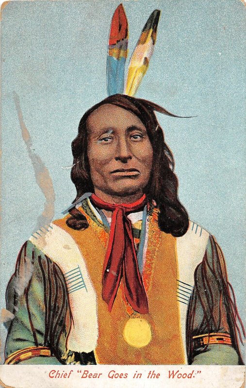 G21/ Native American Indian Postcard c1910 Chief Bear Goes in the Woods 13