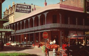New Orleans Louisiana Antoine's Restaurant Old French Cuisine Louis St. Postcard