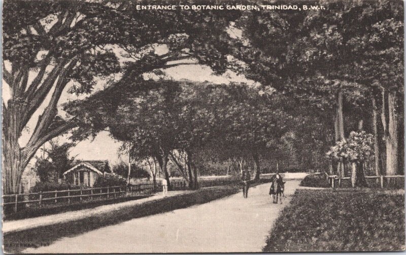 Trinidad And Tobago Entrance To Botanic Garden Vintage Postcard 05.42 