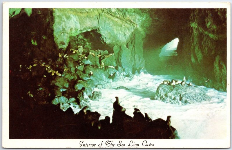 VINTAGE POSTCARD INTERIOR OF THE SEA LIONS CAVES AT FLORENCE OREGON