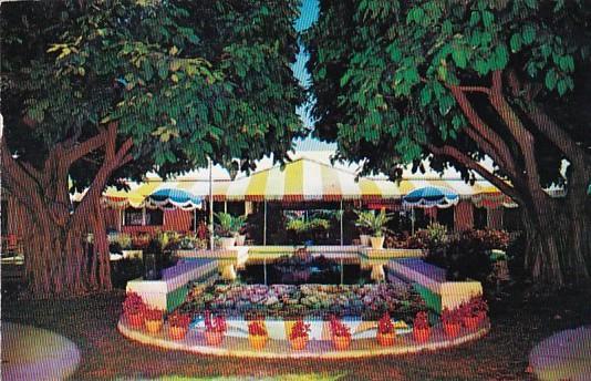 Florida Fort Lauderdale Terrace Patio Restaurant 1956