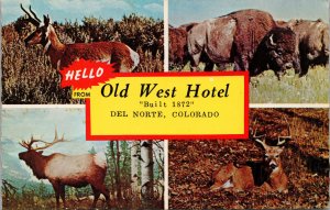 Greetings from the Historic Old West Hotel Del Norte CO Postcard PC424