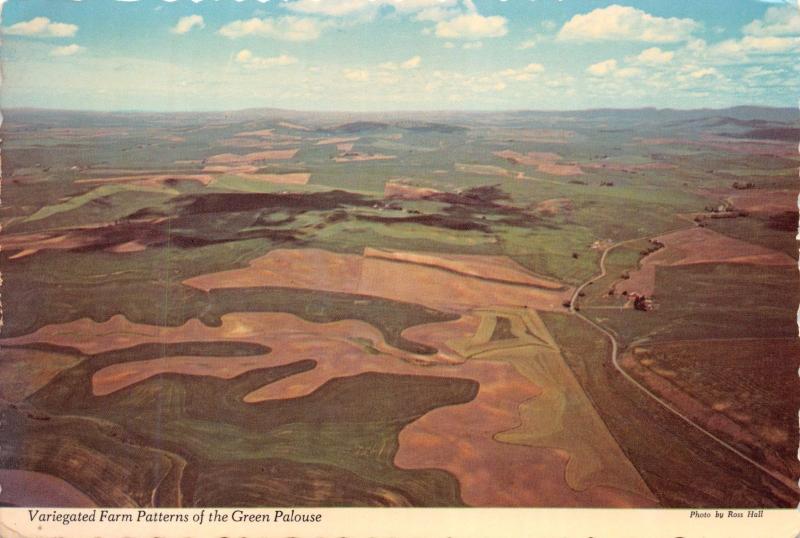 IDAHO WASHINGTON STATE LINE~VARIEGATED FARM PATTERNS OF GREEN PALOUSE POSTCARD