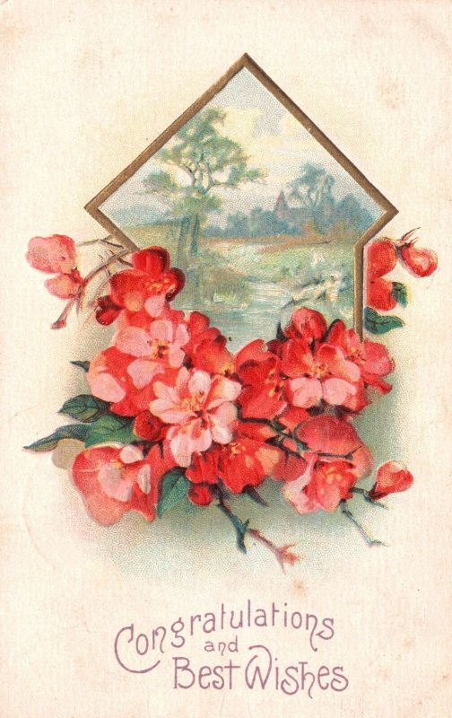 Vintage Postcard 1912 Congratulations And Best Wishes Flowers Landscape Card